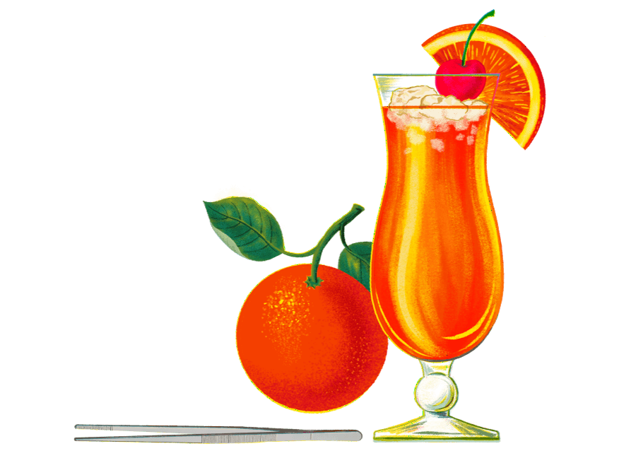 Vintage-botanical illustration of a hurricane cocktail with orange and cherry